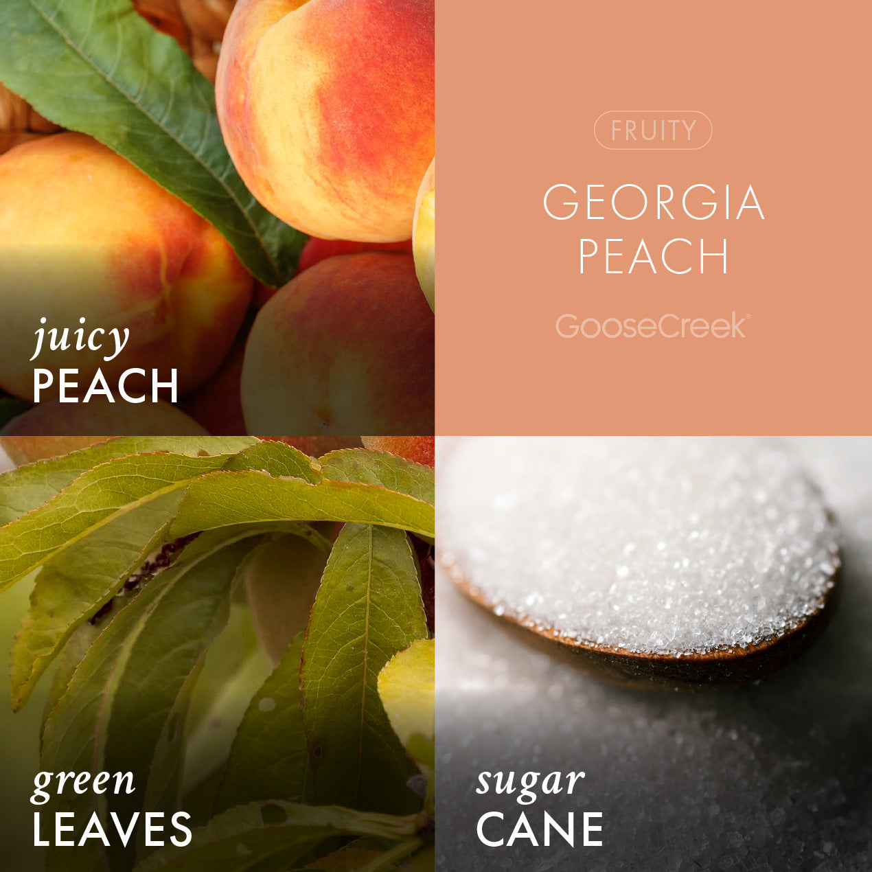 Georgia Peach Wax Melt