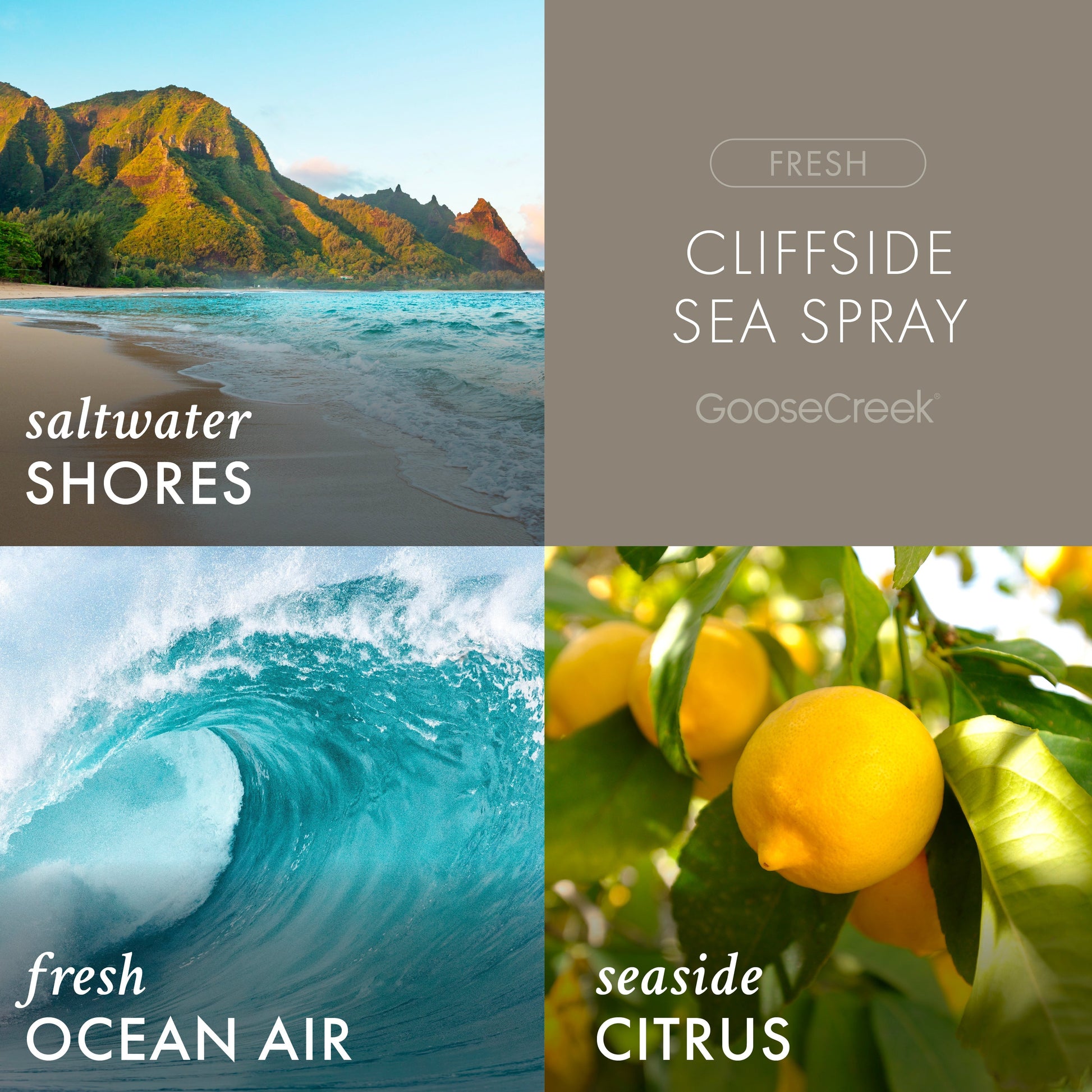 Cliffside Sea Spray Odor Eliminating 7oz Single Wick Candle