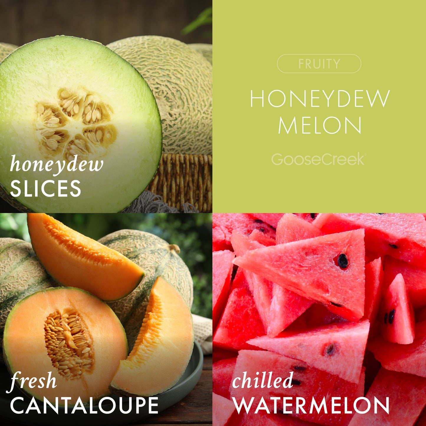 Honeydew Melon 3-Wick Candle