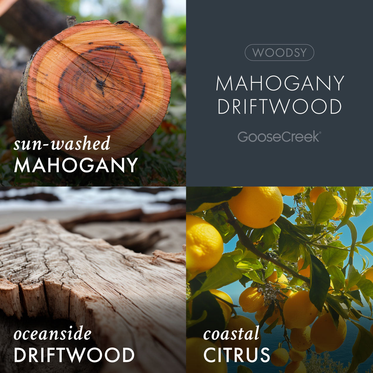 Mahogany Driftwood Wax Melt
