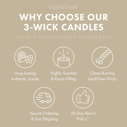 Vanilla Bean 3-Wick Candle